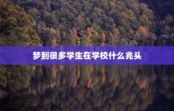 梦到很多学生在学校什么兆头