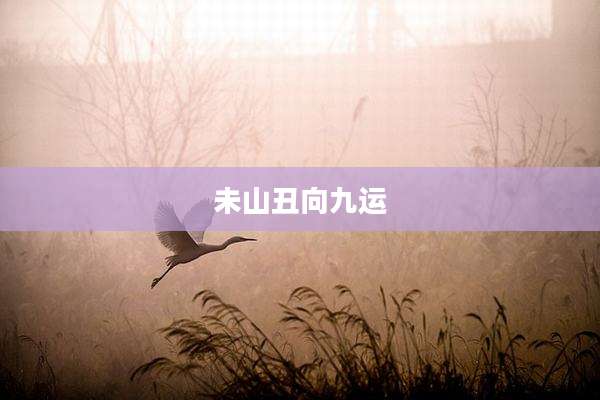 未山丑向九运
