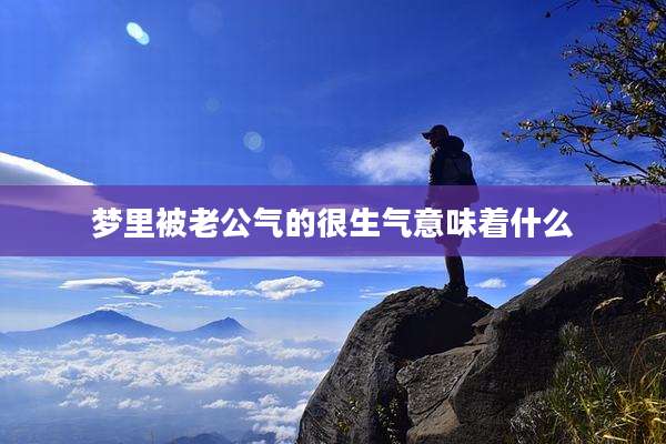 梦里被老公气的很生气意味着什么