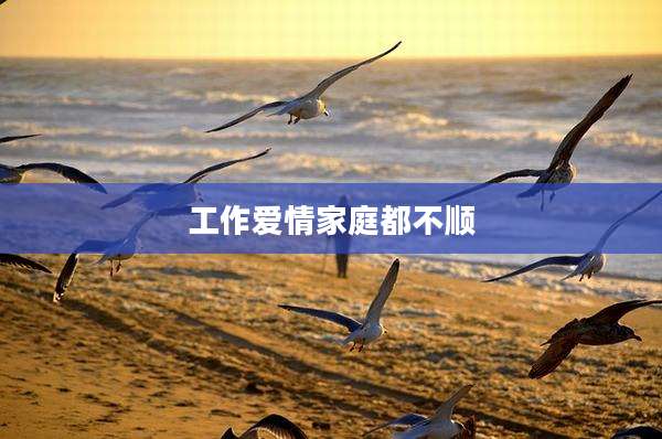 工***情家庭都不顺