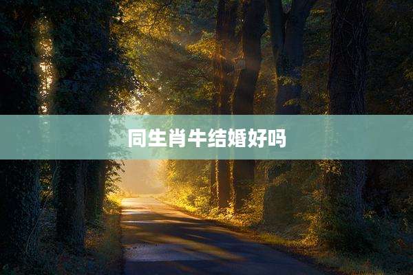 同生肖牛结婚好吗