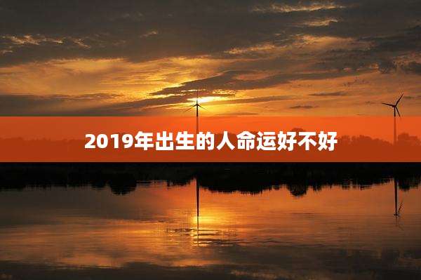 2019年出生的人命运好不好