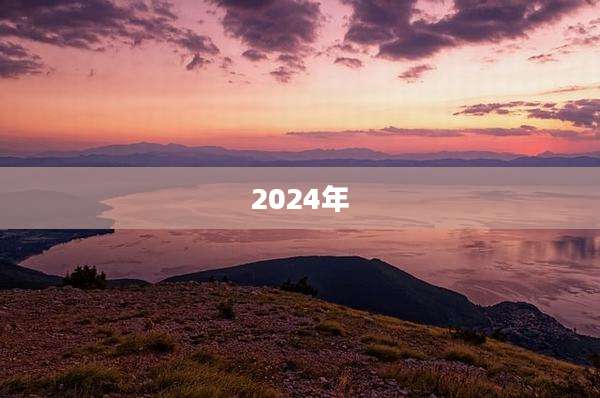 2024年
