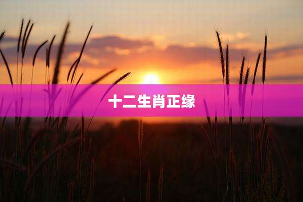 十二生肖正缘
