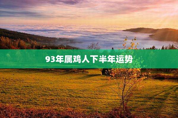 93年属鸡人下半年运势