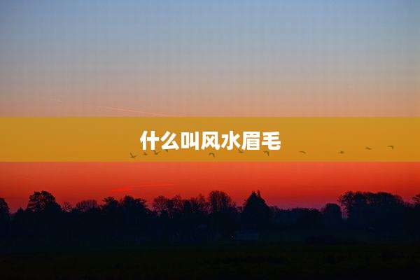 什么叫风水眉毛