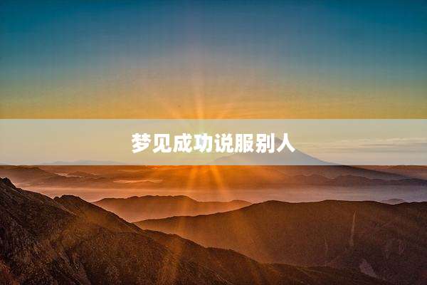 梦见成功说服别人