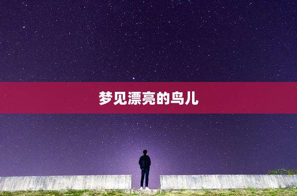梦见漂亮的鸟儿