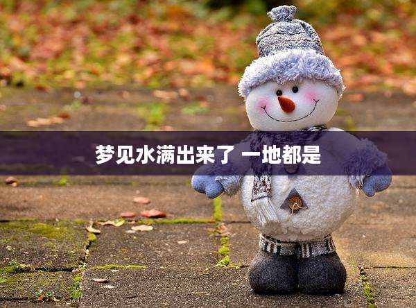 梦见水满出来了 一地都是