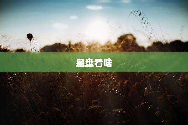 星盘看啥