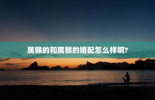 属猴的和属猴的婚配怎么样啊?