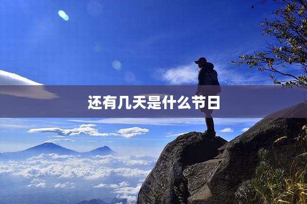 还有几天是什么节日