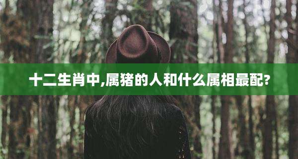 十二生肖中,属猪的人和什么属相最配?