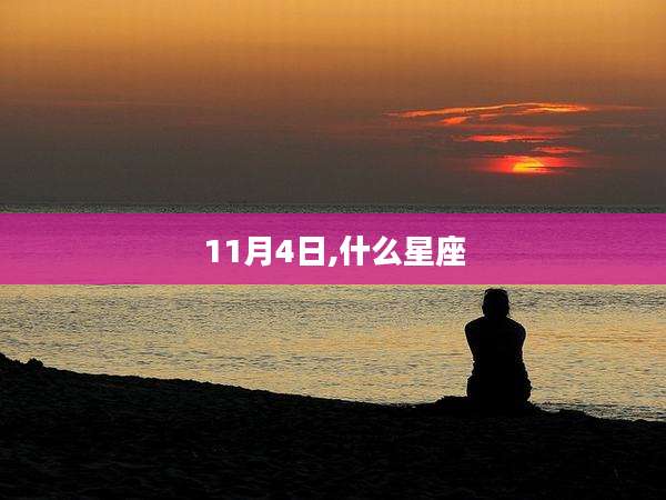 11月4日,什么星座