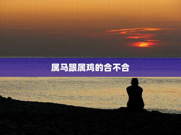 属马跟属鸡的合不合