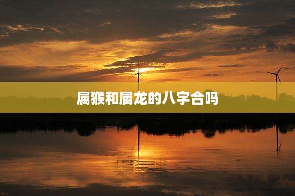属猴和属龙的八字合吗