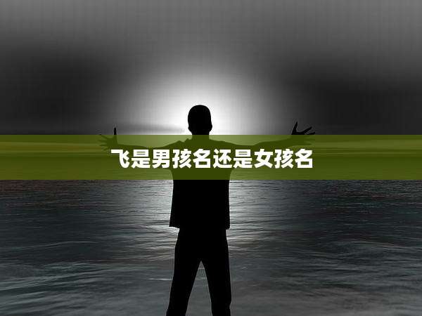 飞是男孩名还是女孩名