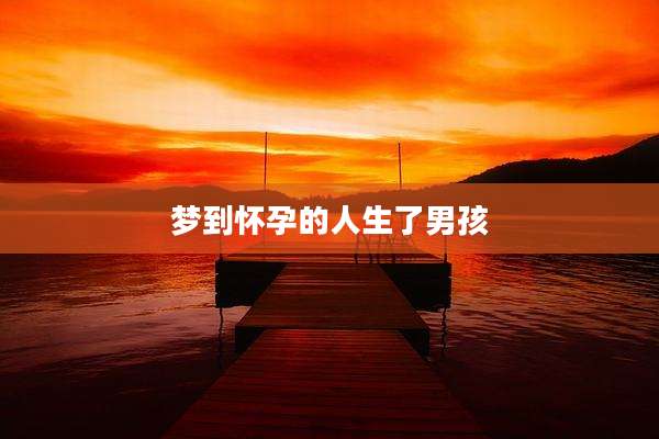 梦到怀孕的人生了男孩
