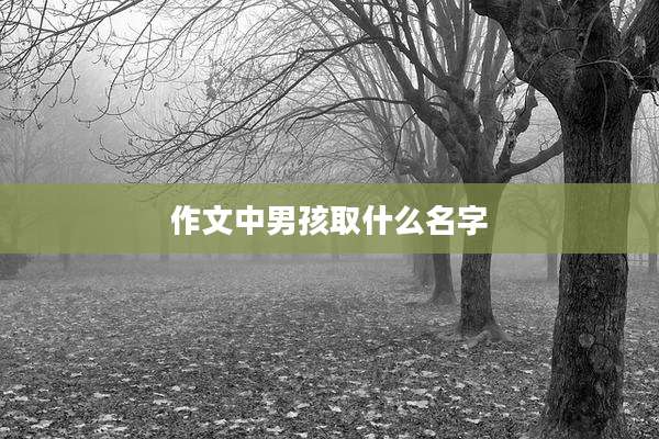 作文中男孩取什么名字