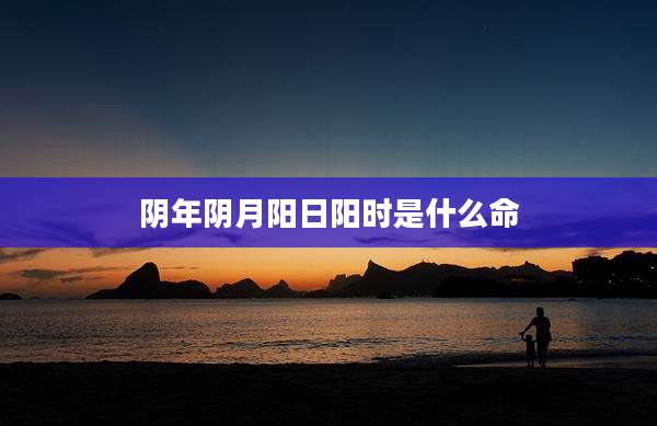 阴年阴月阳日阳时是什么命