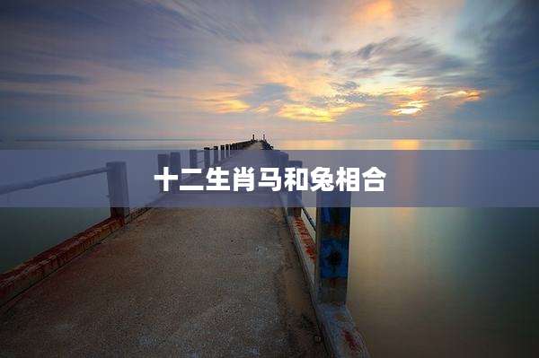 十二生肖马和兔相合