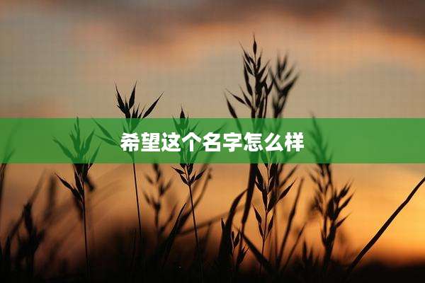 希望这个名字怎么样