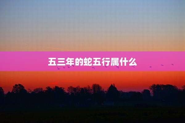 五三年的蛇五行属什么