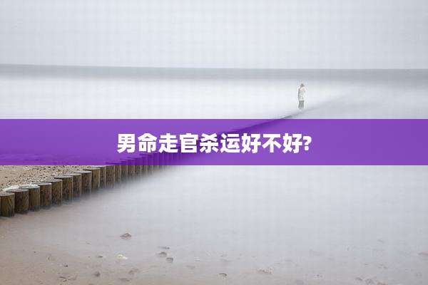 男命走官杀运好不好?