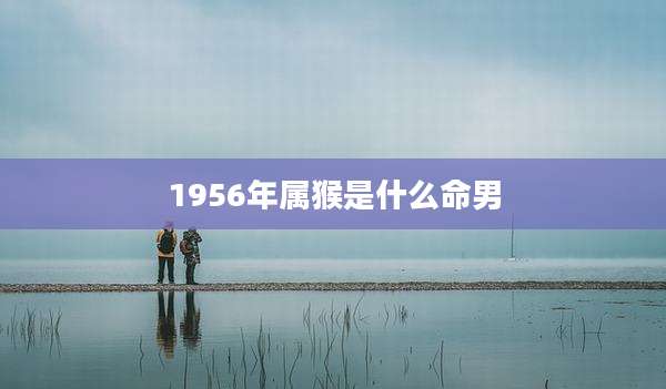 1956年属猴是什么命男