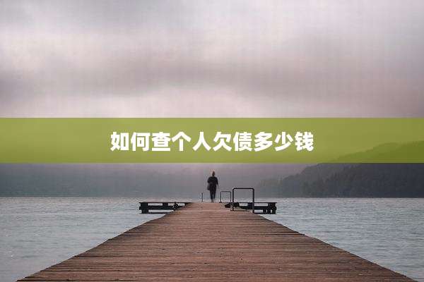 如何查个人欠债多少钱
