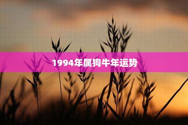 1994年属狗牛年运势