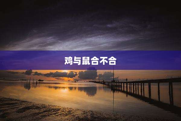 鸡与鼠合不合