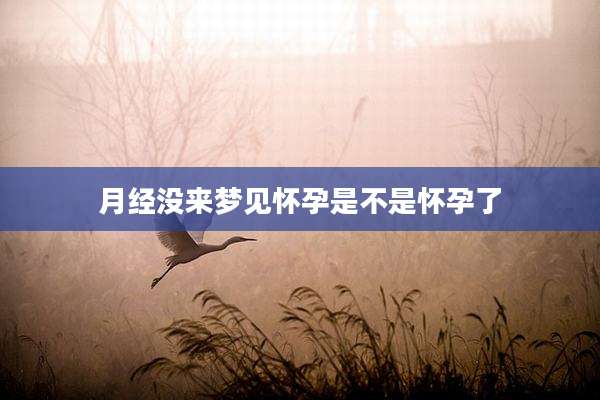 月经没来梦见怀孕是不是怀孕了