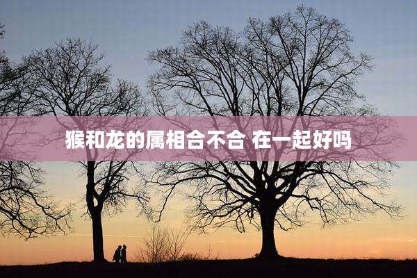 猴和龙的属相合不合 在一起好吗