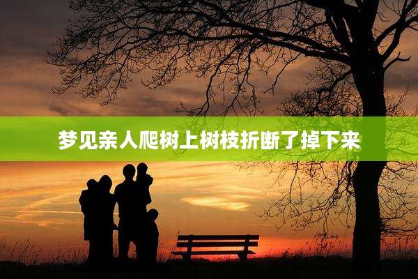 梦见亲人爬树上树枝折断了掉下来