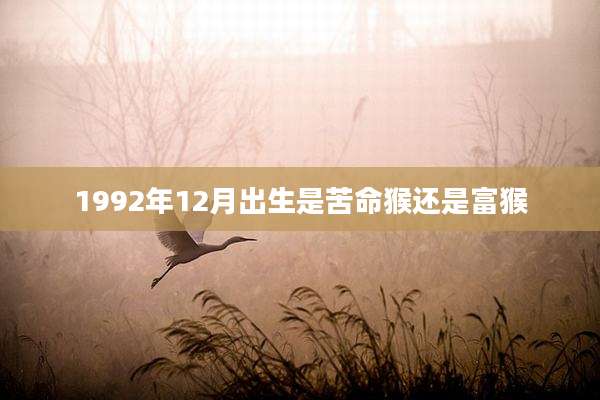 1992年12月出生是苦命猴还是富猴