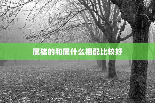 属猪的和属什么相配比较好