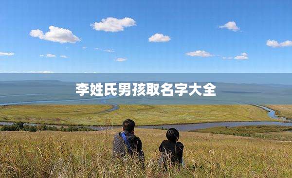 李姓氏男孩取名字大全