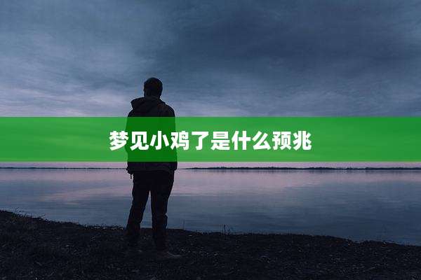 梦见小鸡了是什么预兆