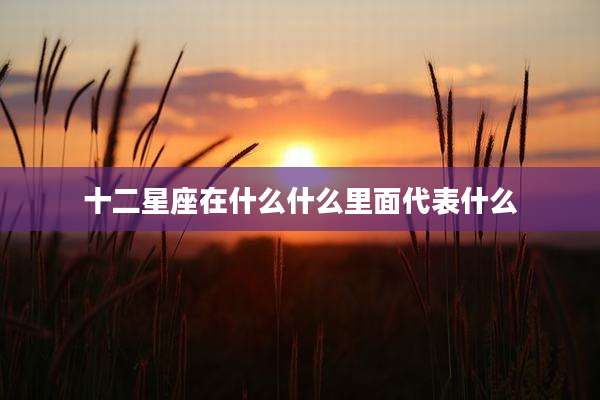 十二星座在什么什么里面代表什么