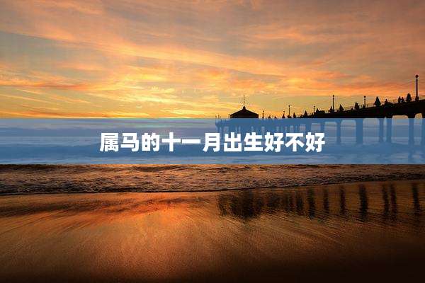 属马的十一月出生好不好