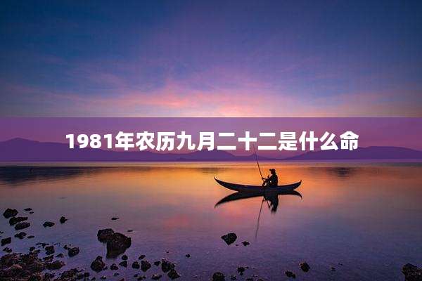 1981年农历九月二十二是什么命