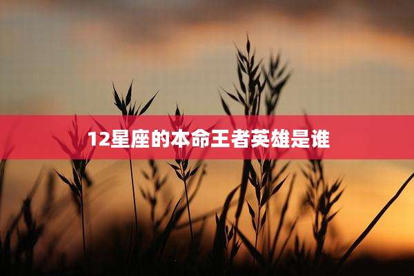 12星座的本命王者英雄是谁