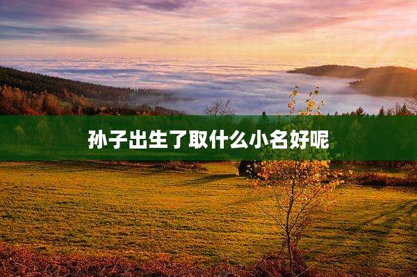 孙子出生了取什么小名好呢