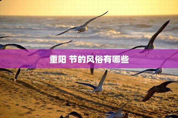 重阳 节的风俗有哪些