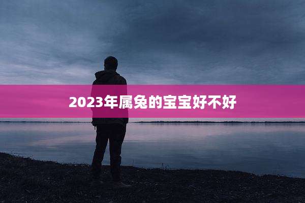 2023年属兔的宝宝好不好