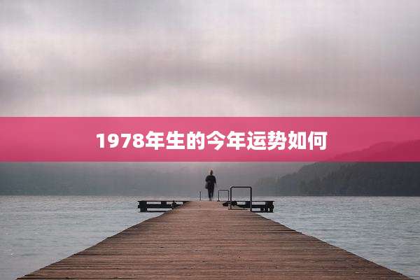 1978年生的今年运势如何