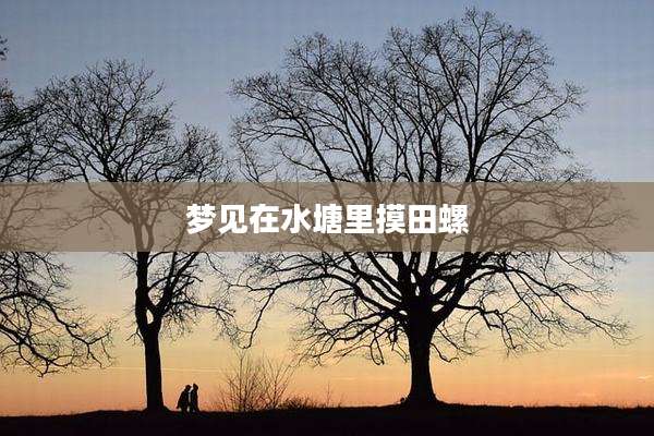梦见在水塘里摸田螺