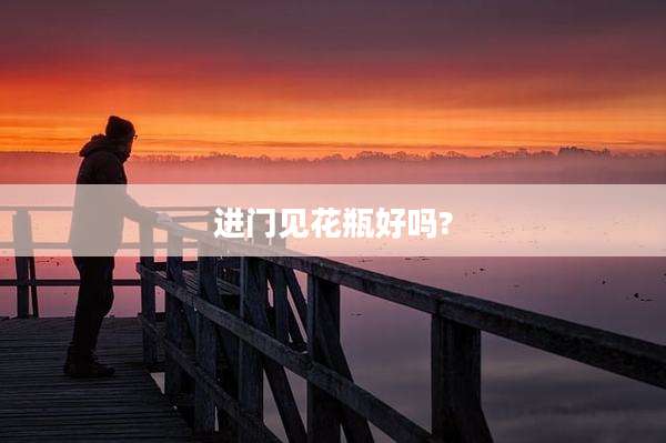 进门见花瓶好吗?