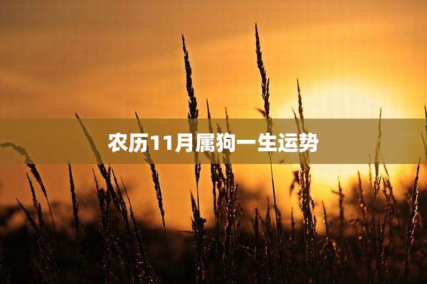 农历11月属狗一生运势